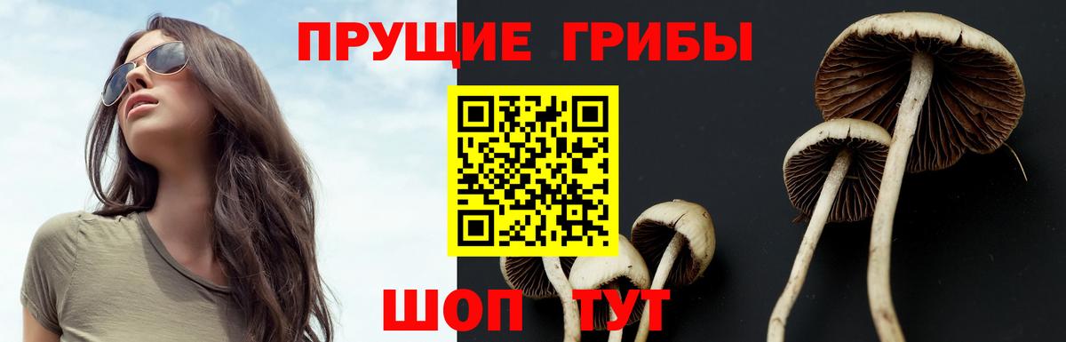 Галлюциногенные грибы прущие грибы  Псилоцибиновые грибы прущие грибы  Вход с VPN  Лангепас 